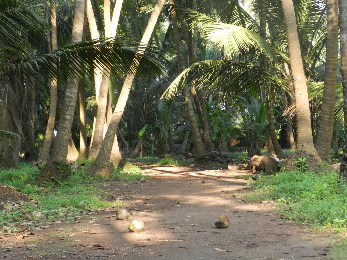 Bangli, The Finest Konkan Living 호텔 Dāpoli 외부 사진