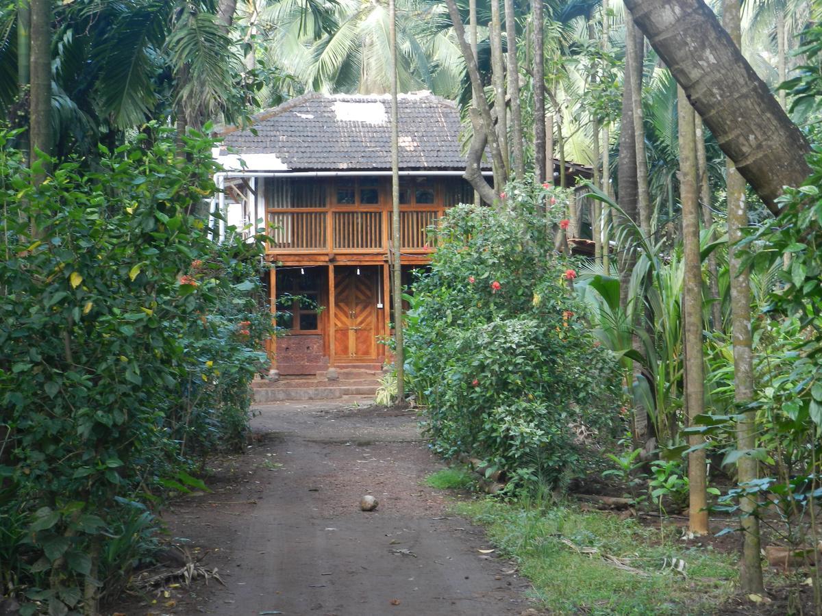Bangli, The Finest Konkan Living 호텔 Dāpoli 외부 사진